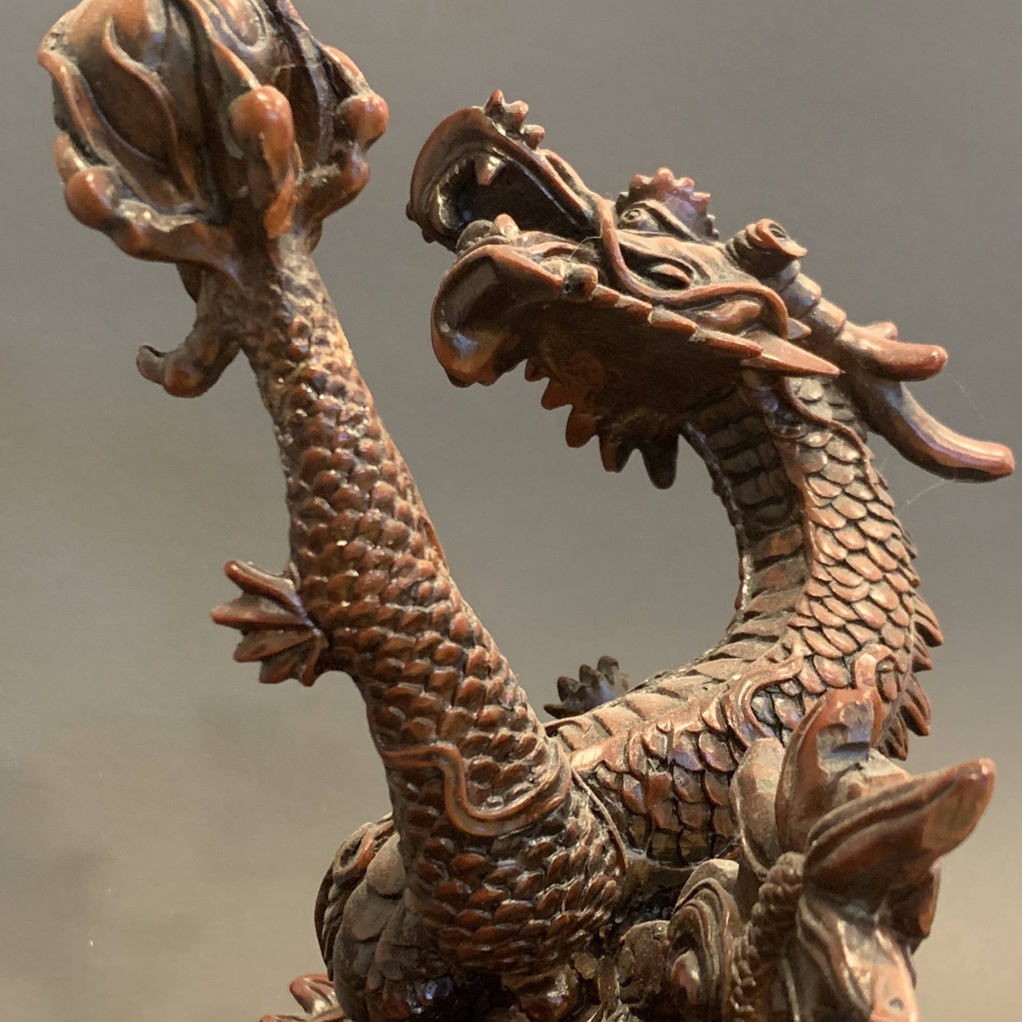 dragon