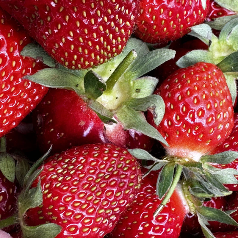 strawberry, red